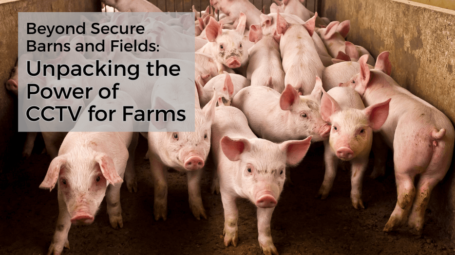 Beyond Secure Barns and Fields: Unpacking the Power of CCTV for Farms